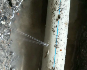 上海卫生间测漏水多少钱
